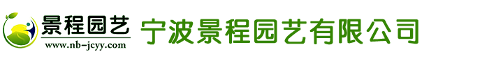 控制與保護(hù)開(kāi)關(guān)—上海能曼電氣有限公司